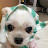 수니soo