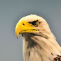 The Freedom Eagle YouTube Profile Photo