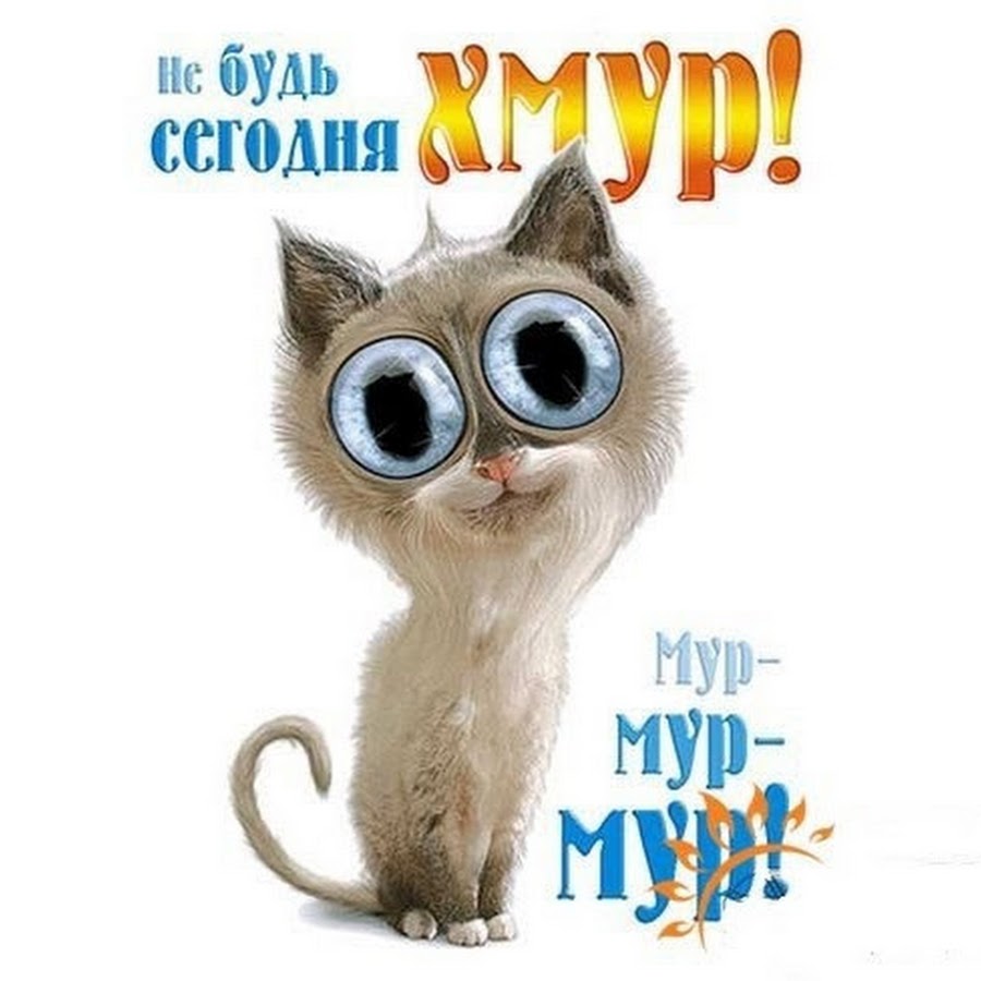 Мур картинки прикольные