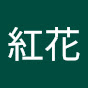 黎紅花