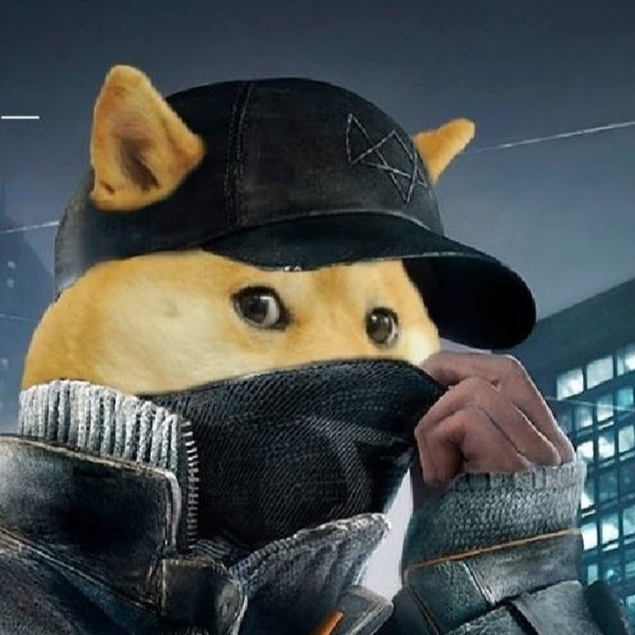 животные в одежде. сиба-ину догги. авы доге. ава доги. Doge в шапке.