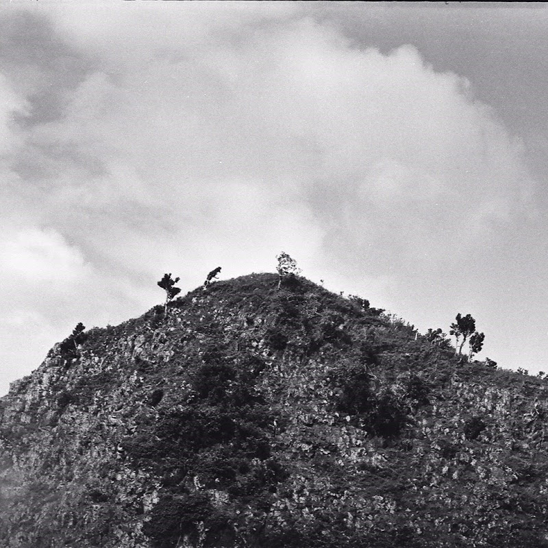 娜塢naau - 網紅的藏寶箱 