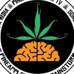 PineappleStormTV