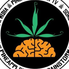 PineappleStormTV thumbnail