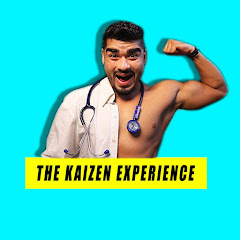 THE KAIZEN EXPERIENCE