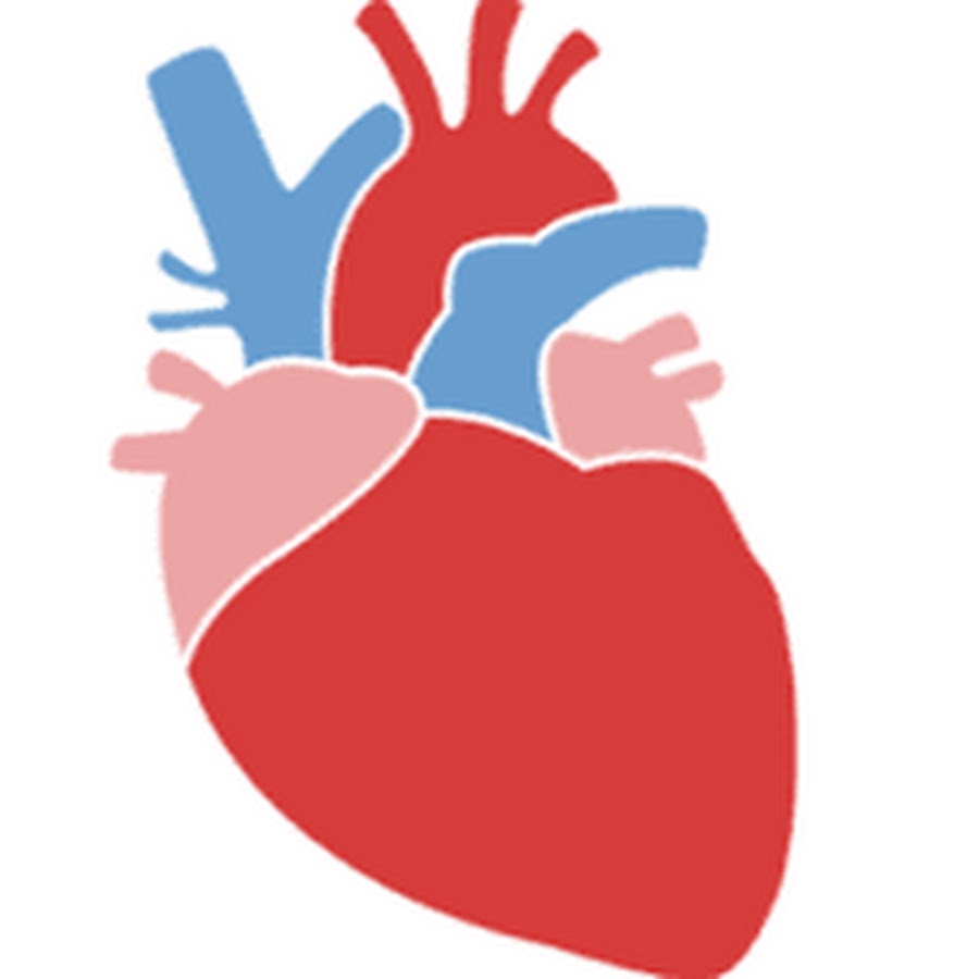 Farishtam sherlar. сердечно сосудистая система гиф. 20 age это сердце. Bad heart. Heart ages.