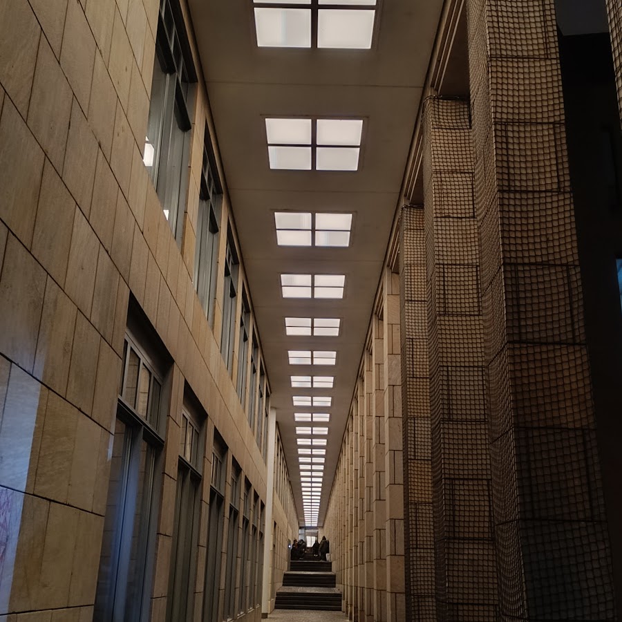 Джарра дерево австралии. Trees may. Черёмуха обыкновенная дерево. Панорама деревья. Trees may.