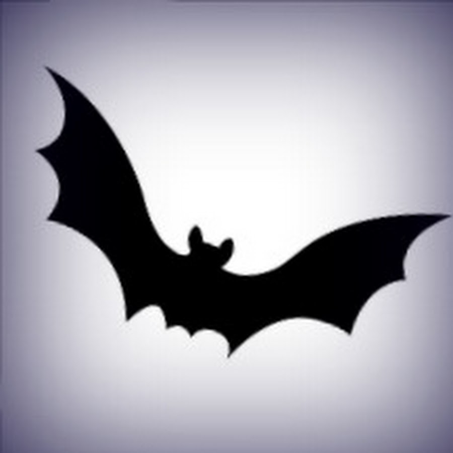 Service youtube bat. Service youtube bat. Мышь flat. Service youtube bat. Service youtube bat.