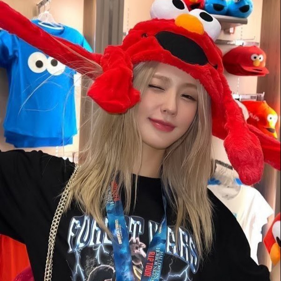 Симба блоггер картинки