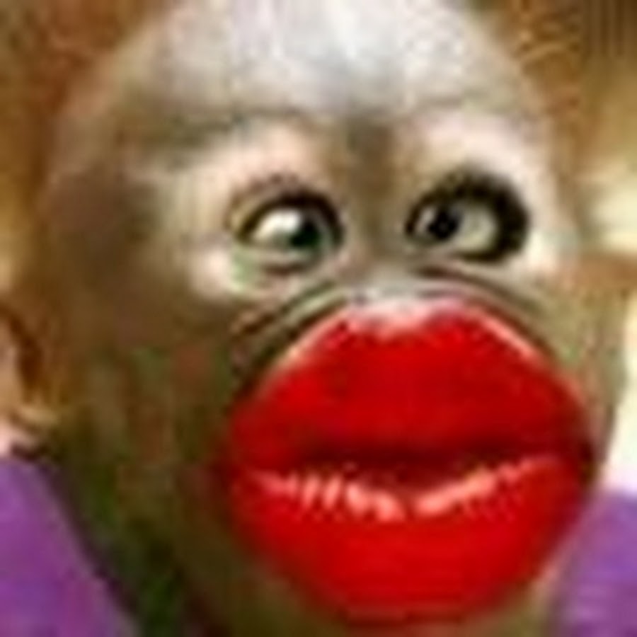 Картинки обезьян с большими губами