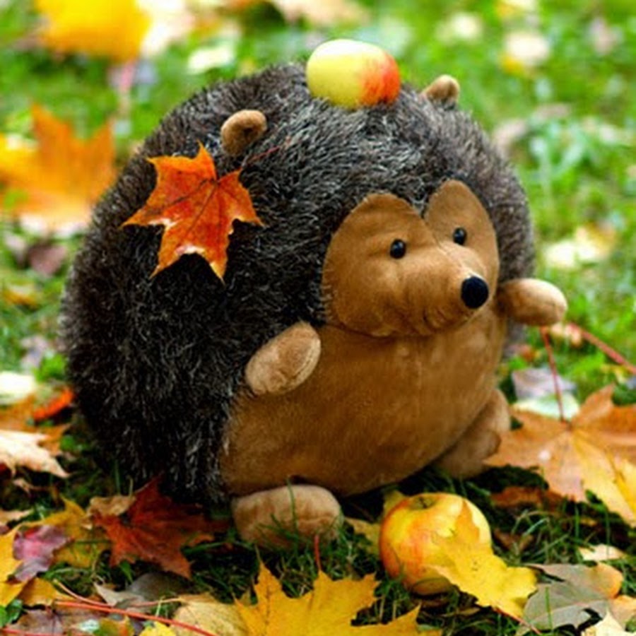 Песня ежик правда любишь осени дары. Ежик из мультика. Ежикам тоже нужны витамины. Игра музыкальный ежик. Песня ежик правда любишь осени дары.