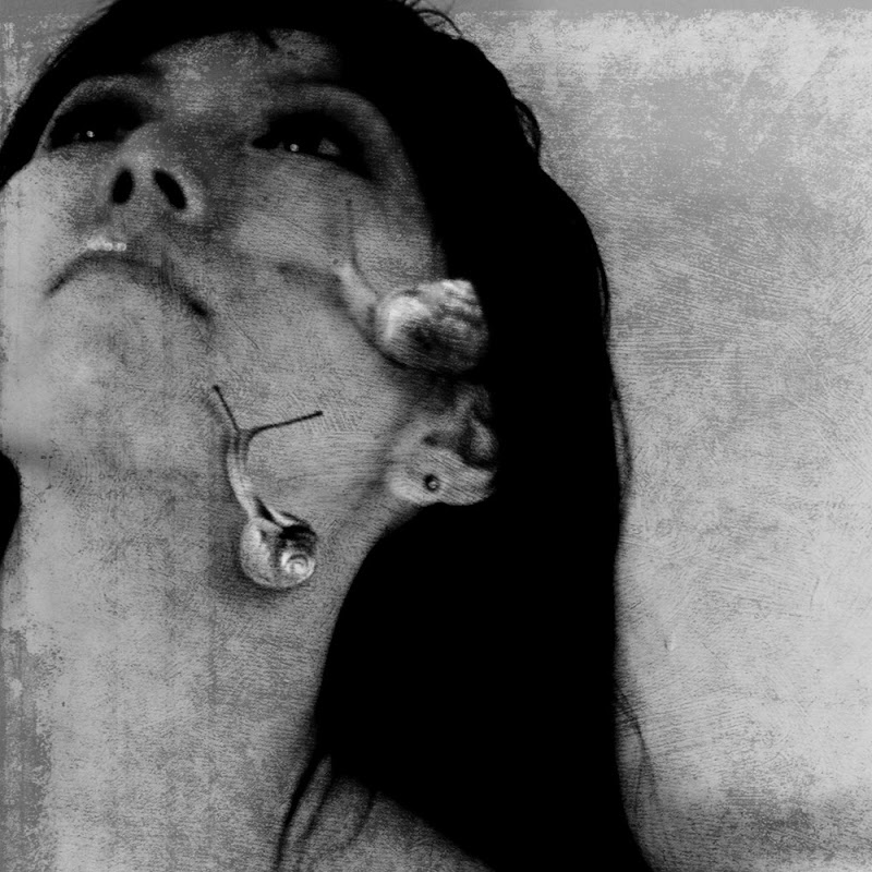 葛昌惠 - 網紅的藏寶箱 