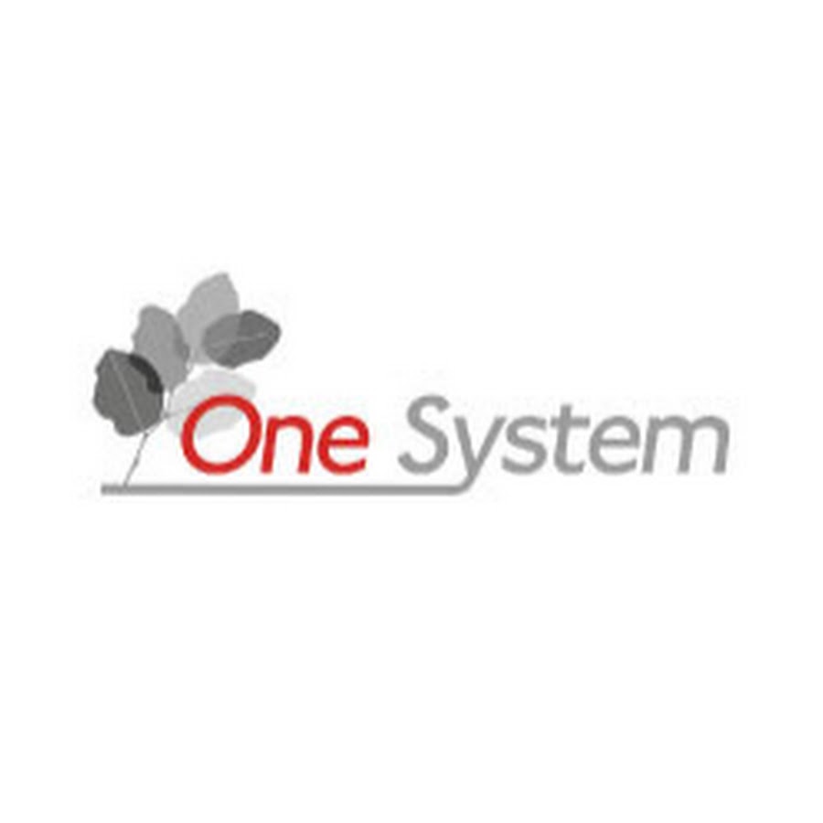 system one solutions net worth - Ilustrasi 3