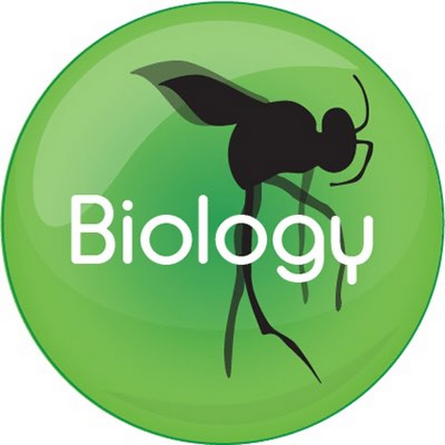 Картинка биология надпись