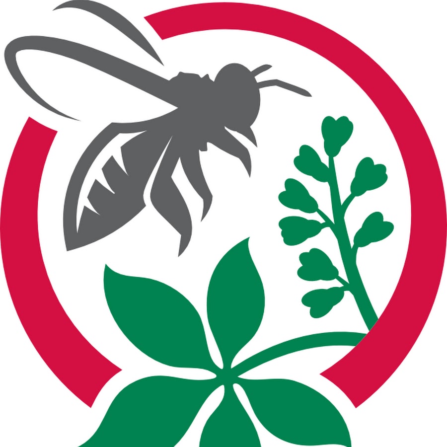 AKedOLRY1rNxNTdw6Hfw4ZxTORfQ9_adYlPDgzYoBqp=s900ckc0x00ffffffnorj