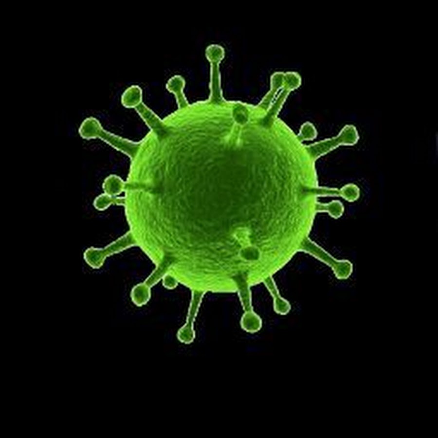 Самая позитивная картинка коронавируса