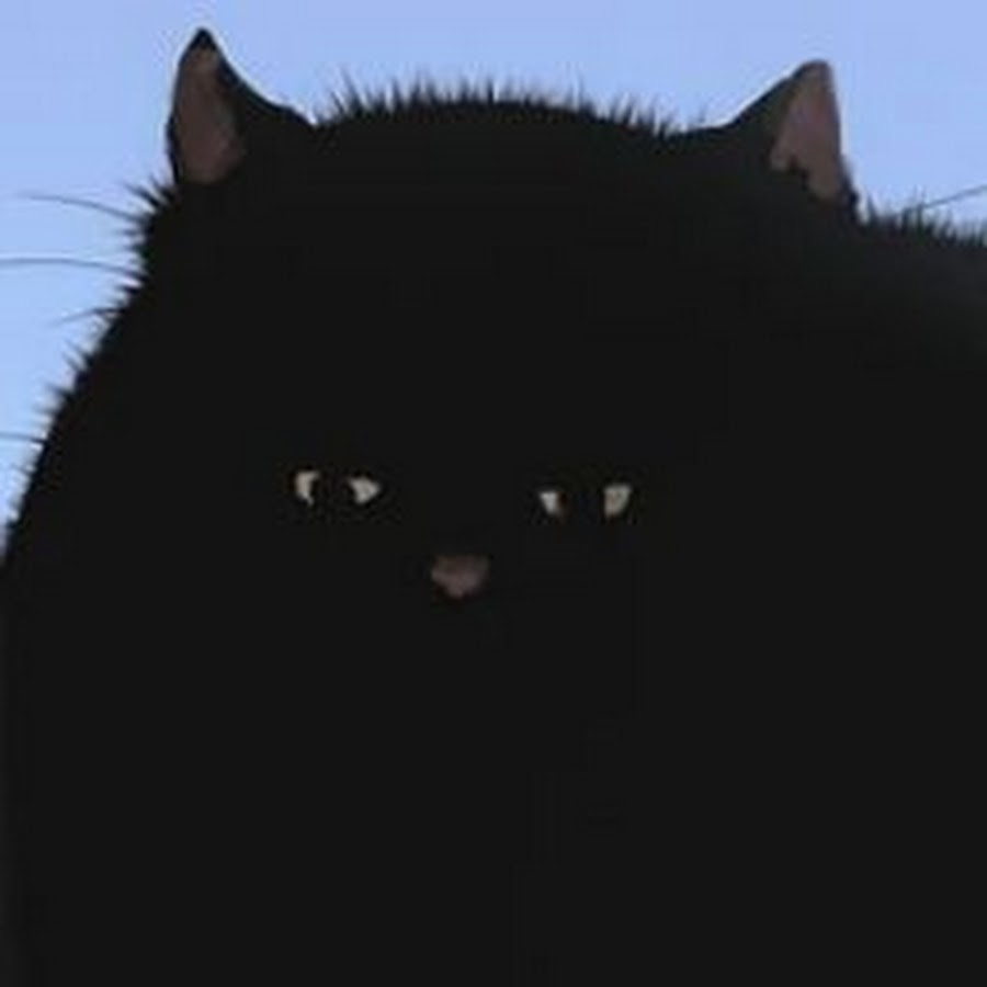 きよねこ Youtube