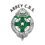 The Abbey School Tipperary YouTube Profile Photo