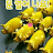 행운맘