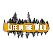 «Life in the Wild: bushcraft and outdoors»
