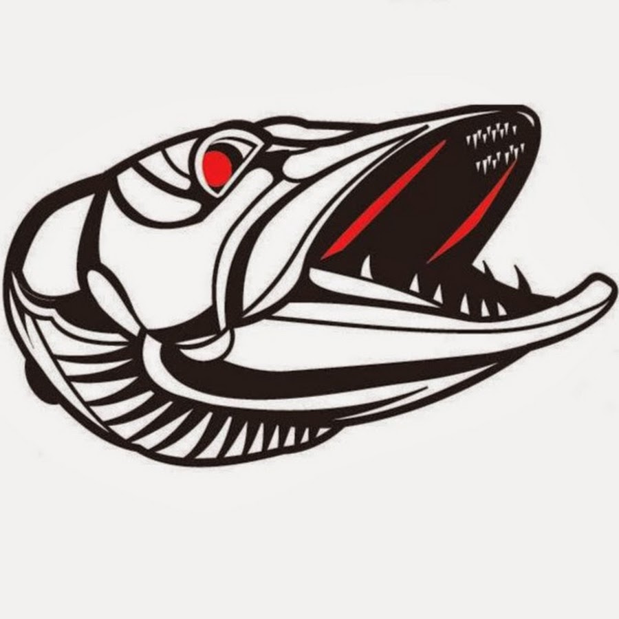 Щука рисунок пнг