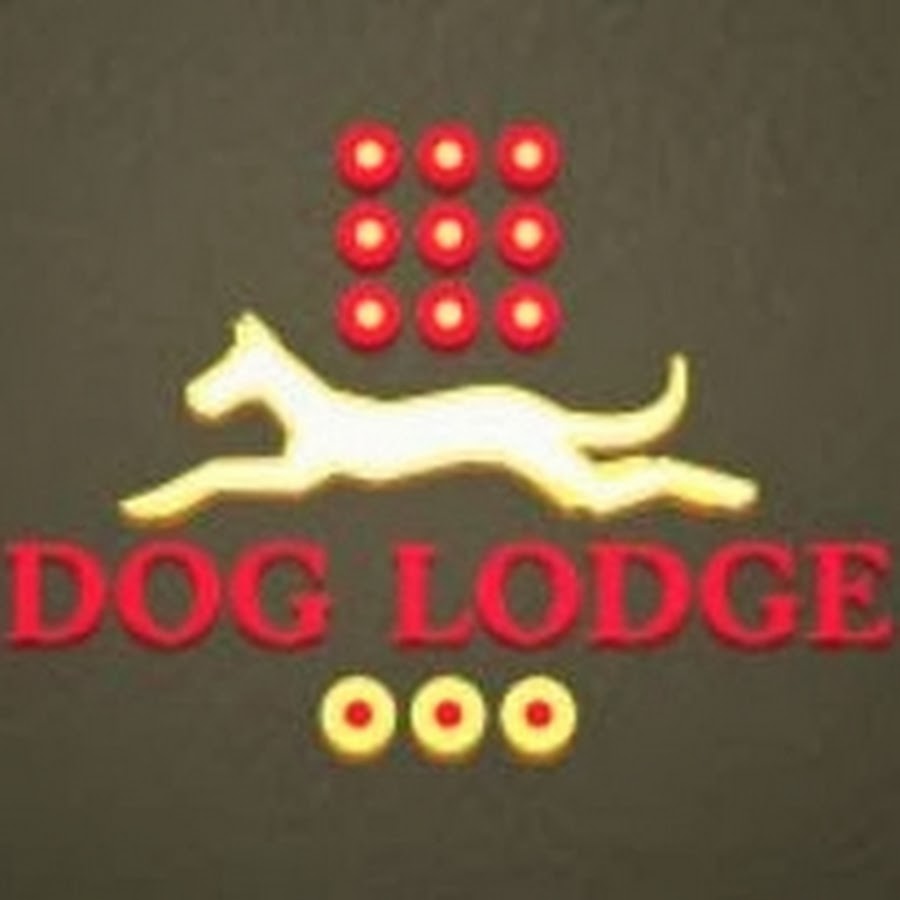 Dog Lodge Hundehotel - YouTube