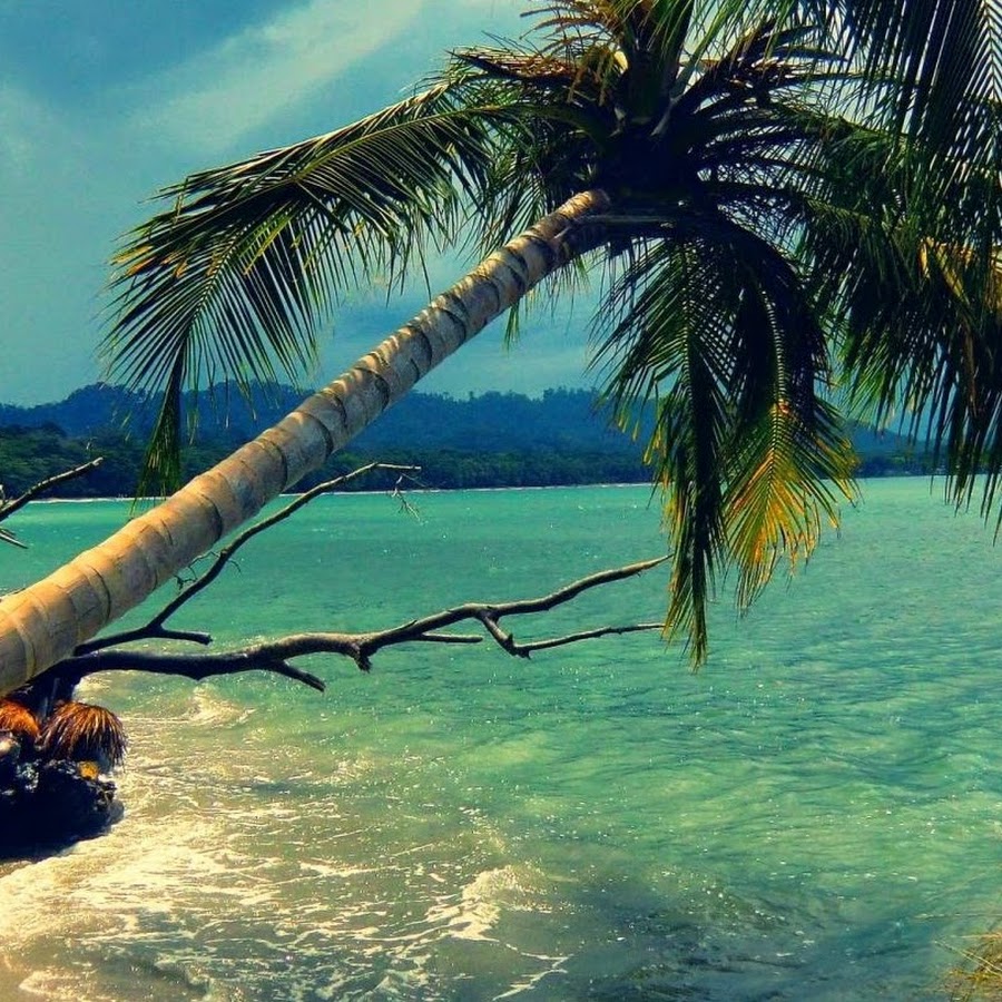 Телефоны из тайланда