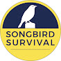 SongBird Survival YouTube Profile Photo