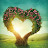 Love DH