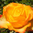 La France qui gronde ; mots cles covid confinement, masques , manipulations, vaccins est - Page 30 AKedOLR_apfzgDQ1a9tlkXNSlX1VCmzr_fuUh_gSh0qI=s48-c-k-c0x00ffffff-no-rj