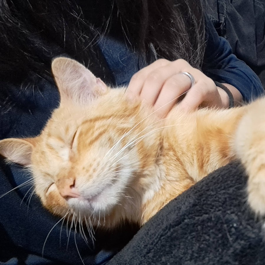 Meru the succubus ova 1.