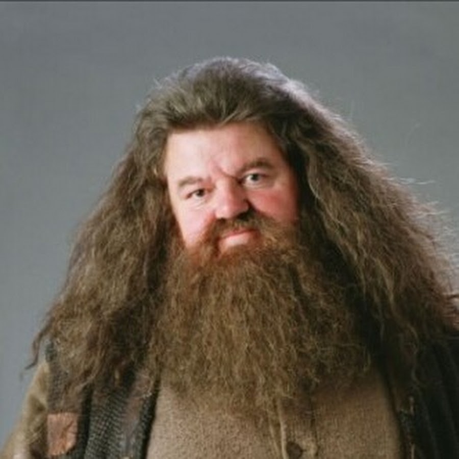 Учителя Хогвартса Хагрид