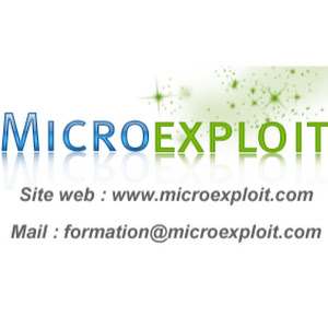 Microexploit Tutoriel Youtube Stats Subscriber Count Views Upload Schedule