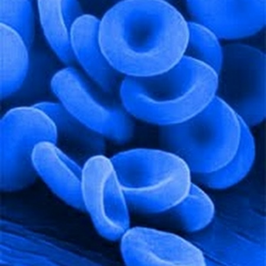 Эритроцит. Эритроциты микрофотография. Двояковогнутая форма эритроцитов. Эритроциты 25 30. Эритроциты на белом фоне.