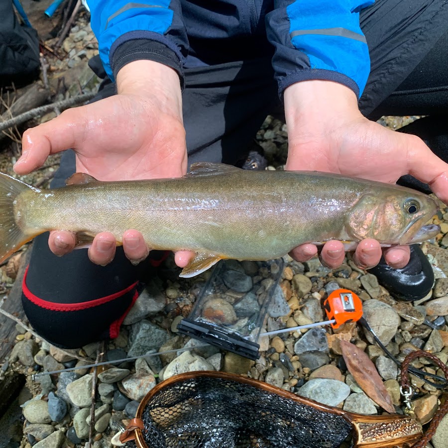 ケンチャンネル Youtube