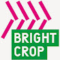 Bright Crop - @BrightCrop YouTube Profile Photo