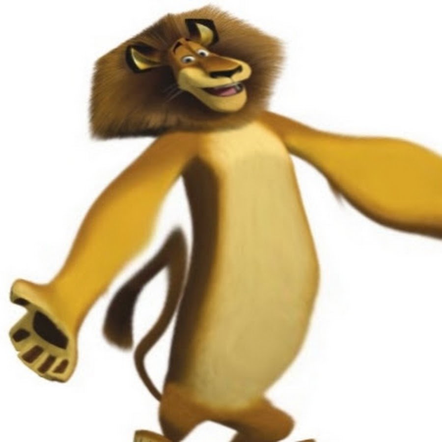 Лев алекс. Лев алекс. Алекс мадагаскар мем. Лев алекс мем. Лев алекс мадагаскар.