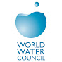 What does the World Water Council do?