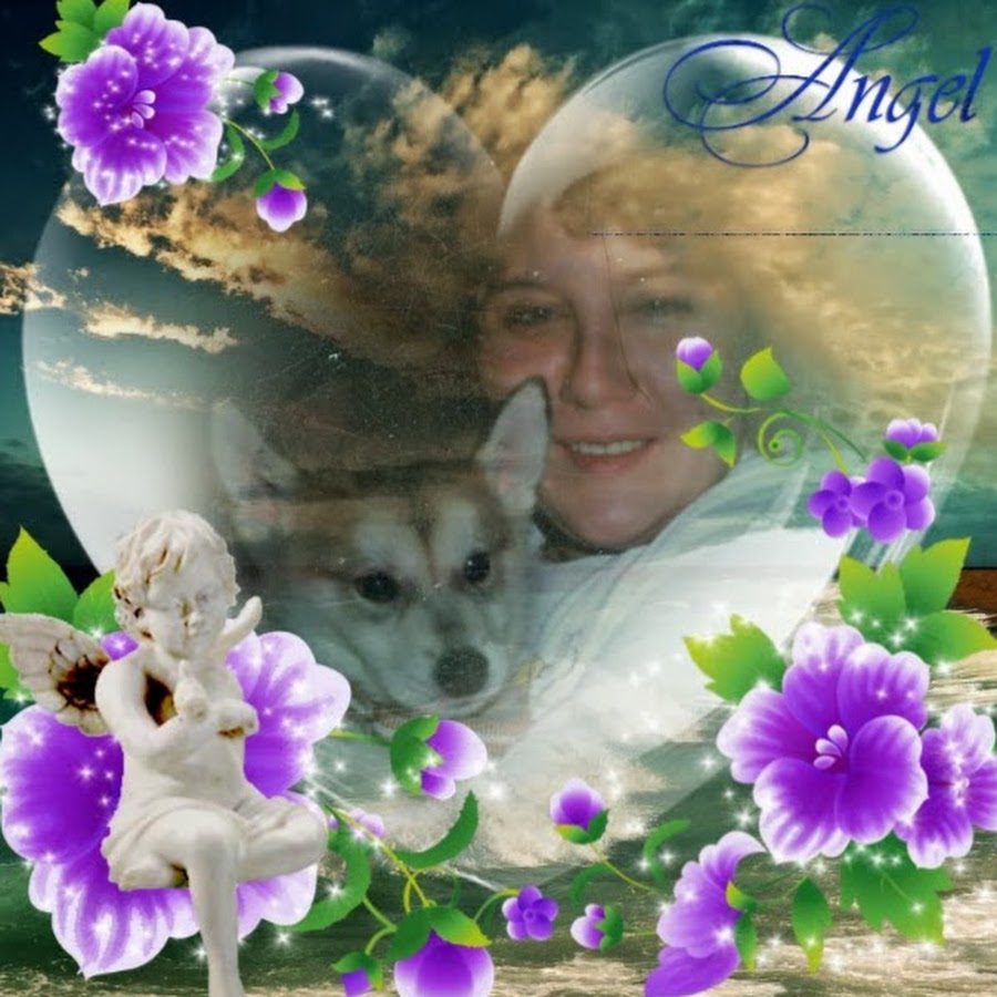 AKedOLRc-ulheDWGGHrfa4BbHOE3qkQ4hqqOK1GVL3R5IQ=s900-c-k-c0x00ffffff-no-rj