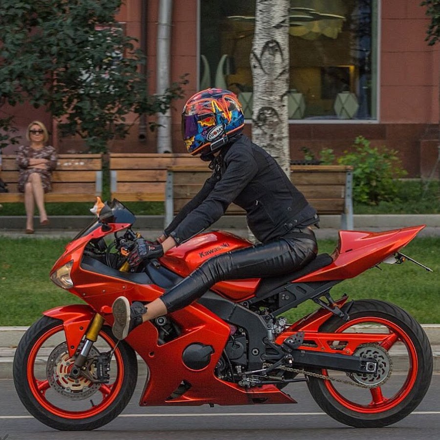 Лис на мотоцикле