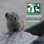 National Wildlife Federation California - @NWFCalifornia YouTube Profile Photo