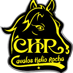 Cavalos Helio Rocha net worth