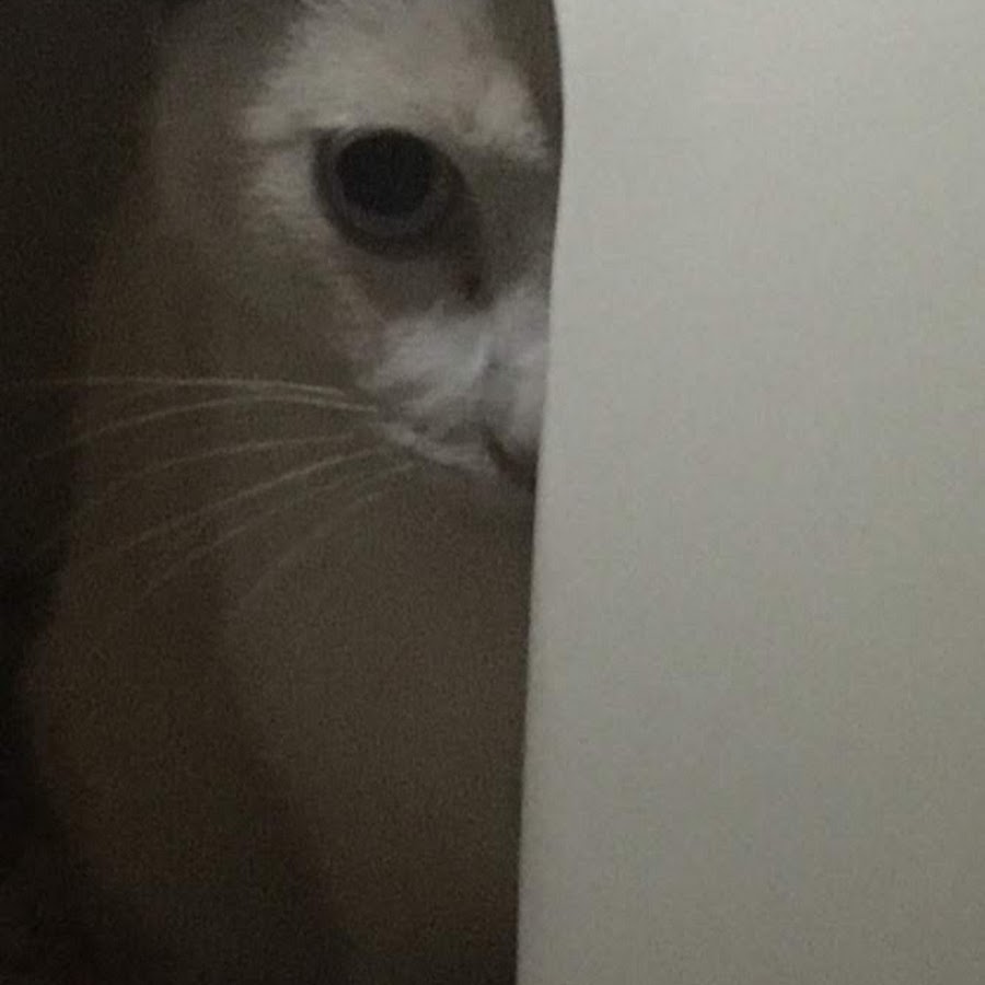 黒ねこにゃー Youtube