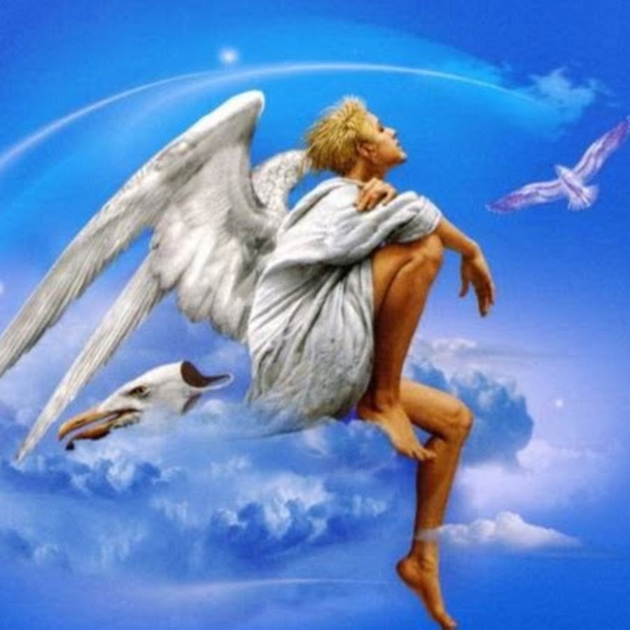 чайка по имени слушать. чайка по имени слушать. чайка по имени джонатан ливингстон. владислав ерко иллюстрации чайка джонатан. ричард бах чайка по имени джонатан ливингстон.