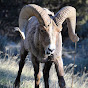 Bighorn Canyon National Recreation Area YouTube Profile Photo