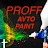 Proff. avto. paint