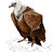 Tanki Vulture -Gaming Avatar