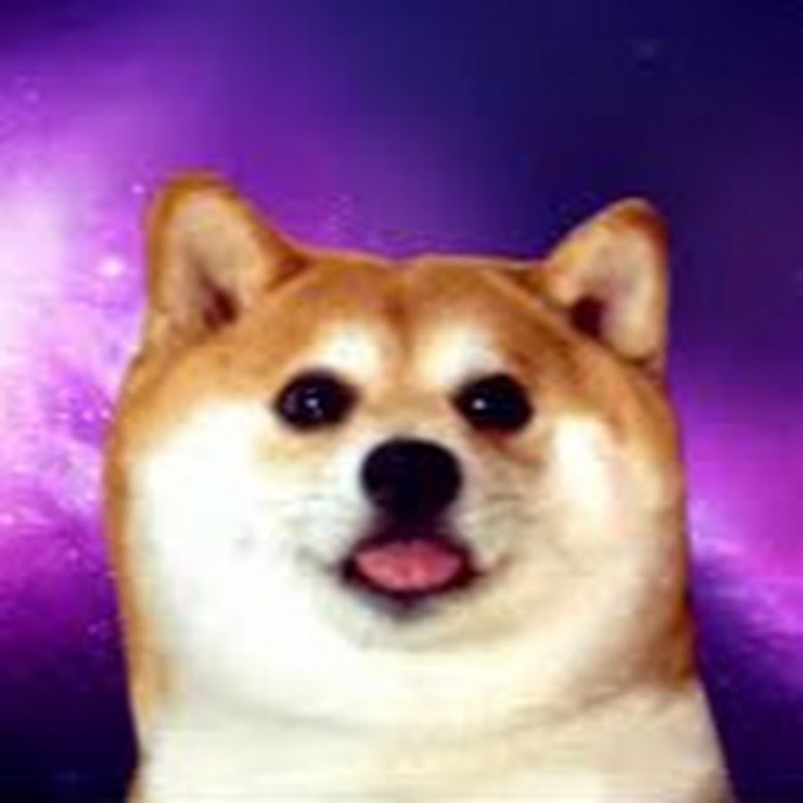 Сиба ину кабосу. Доги мем. So much wow. Such cool. Such cool.