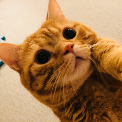 Youtube動画一覧 花江夏樹