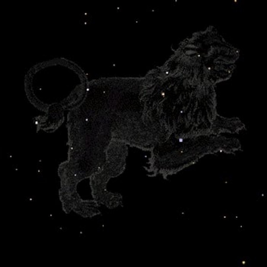 Фигура льва созвездие. Созвездие Льва. Зодиакальное Созвездие Лев. Созвездие Льва и большой медведицы. Изображение созвездия Льва.